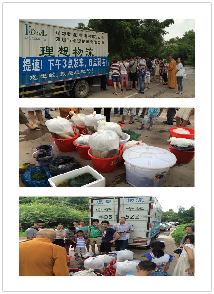 中港物流放生 中港物流放生